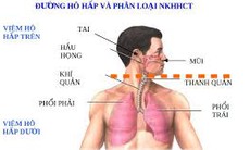 Hợp tác vì sức khỏe phổi